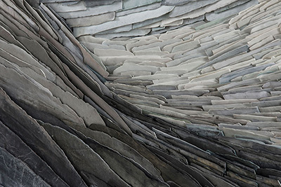 Waiting for the Night