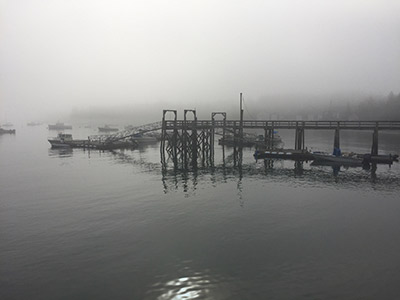 Morning fog: Great Cranberry Island
